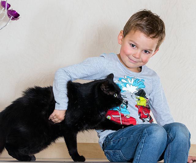 Sohn mit Katze